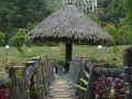 Tn dsc 0663